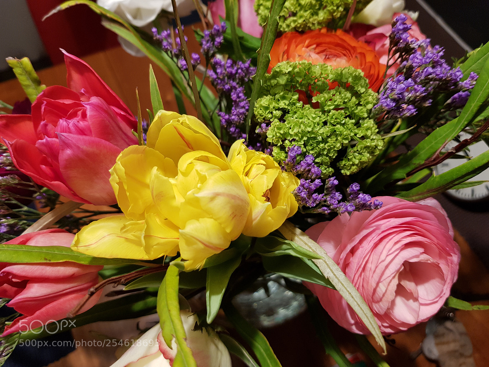 Samsung Galaxy S8 sample photo. Untitled photography
