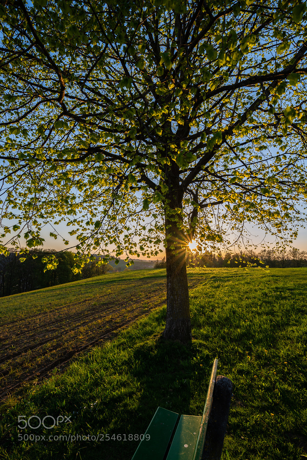 Nikon D610 sample photo. Huttwil photography
