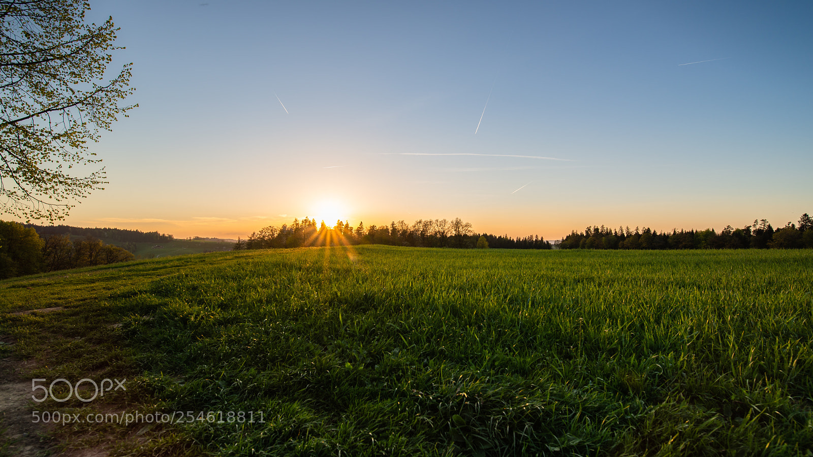 Nikon D610 sample photo. Huttwil photography