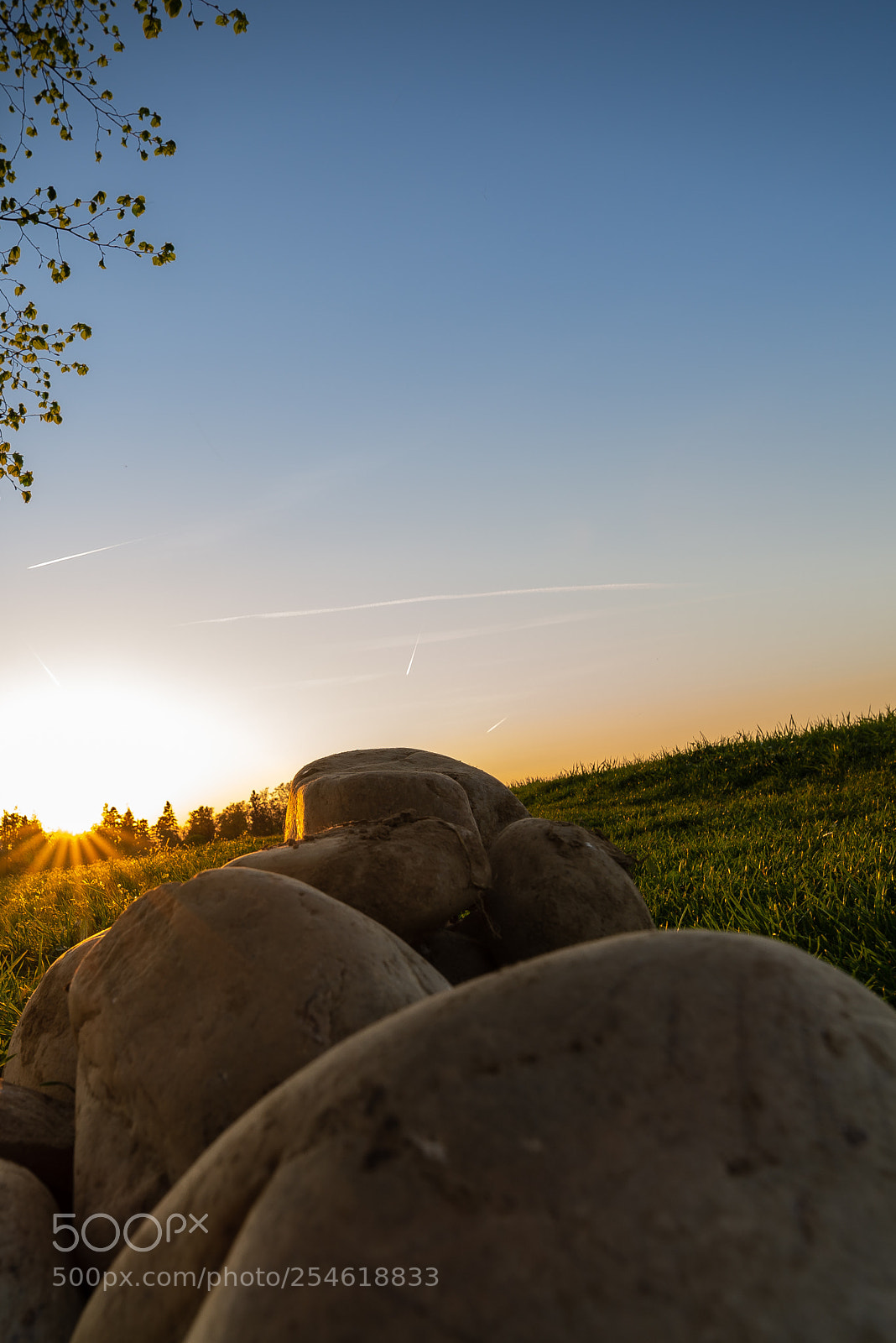 Nikon D610 sample photo. Huttwil photography