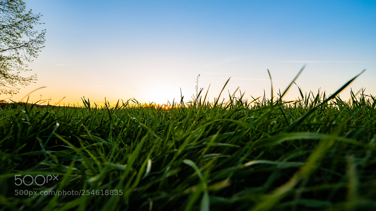 Nikon D610 sample photo. Huttwil photography