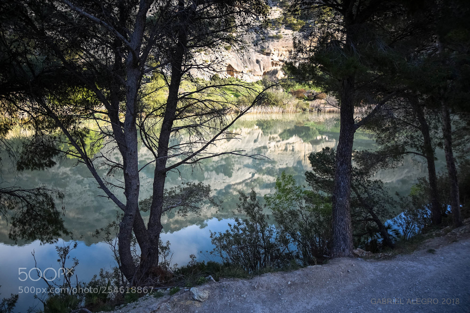Nikon D7200 sample photo. Temprano en el caminito photography