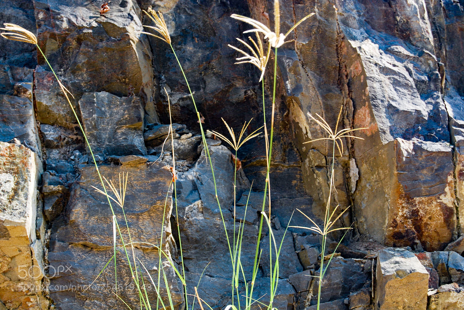 Nikon D40X sample photo. Fall photography