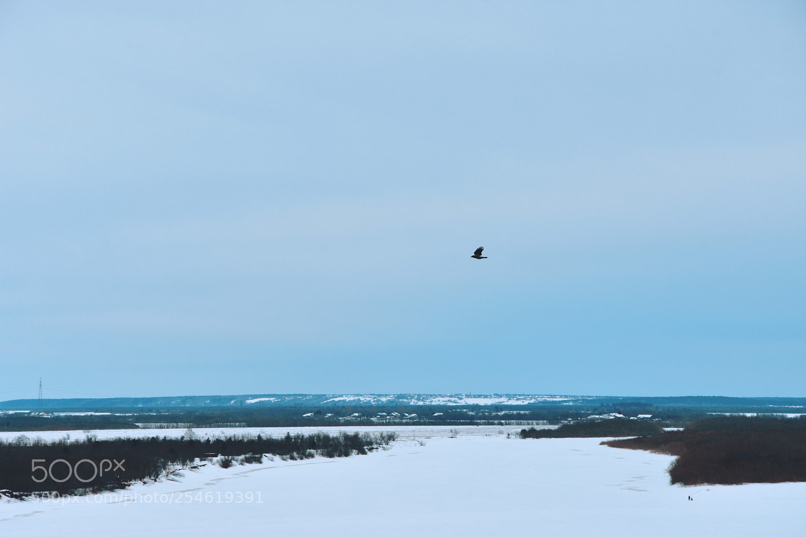 Nikon D7200 sample photo. Bird and snow photography