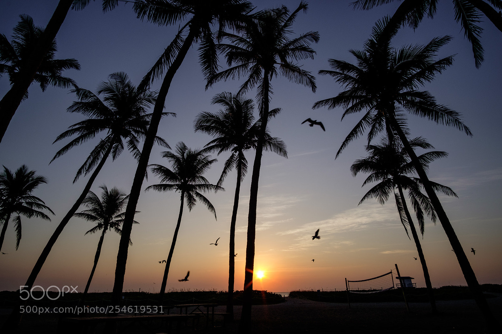 Fujifilm X-T1 sample photo. Dscf photography