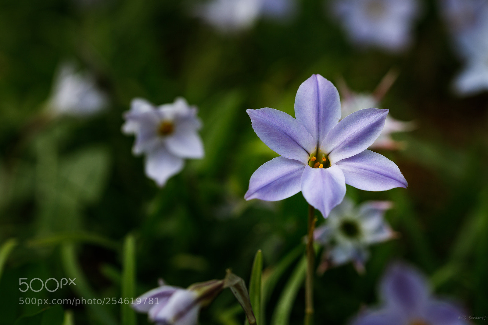 Canon EOS 6D Mark II sample photo. Botanischer garten bochum photography