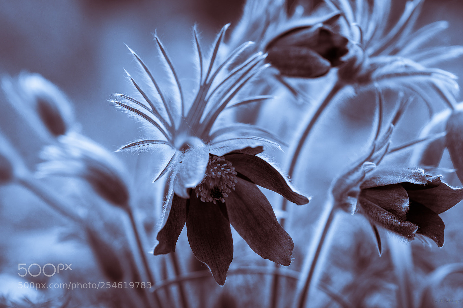 Canon EOS 6D Mark II sample photo. Botanischer garten bochum photography