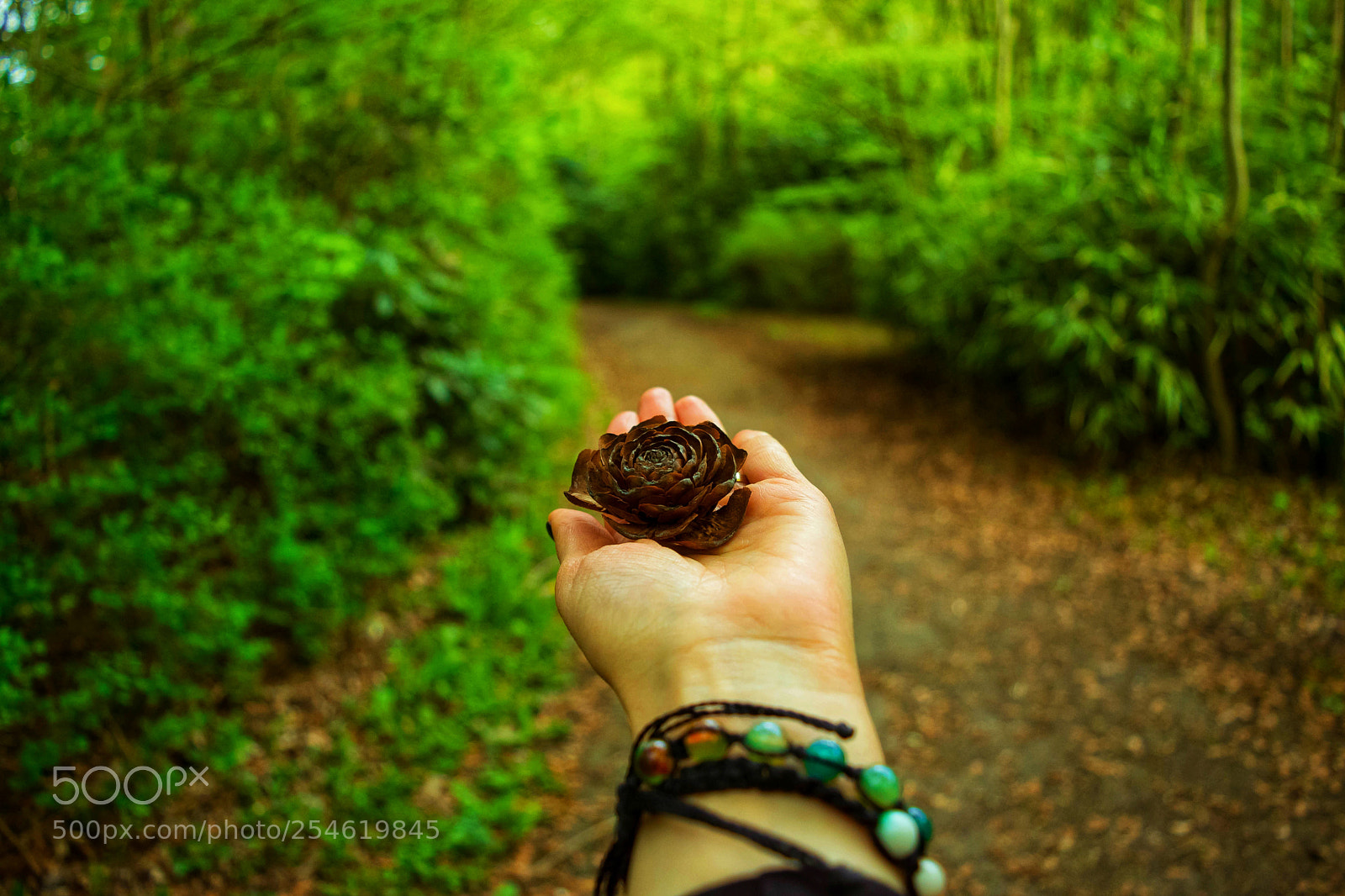 Nikon D5500 sample photo. Untitled photography