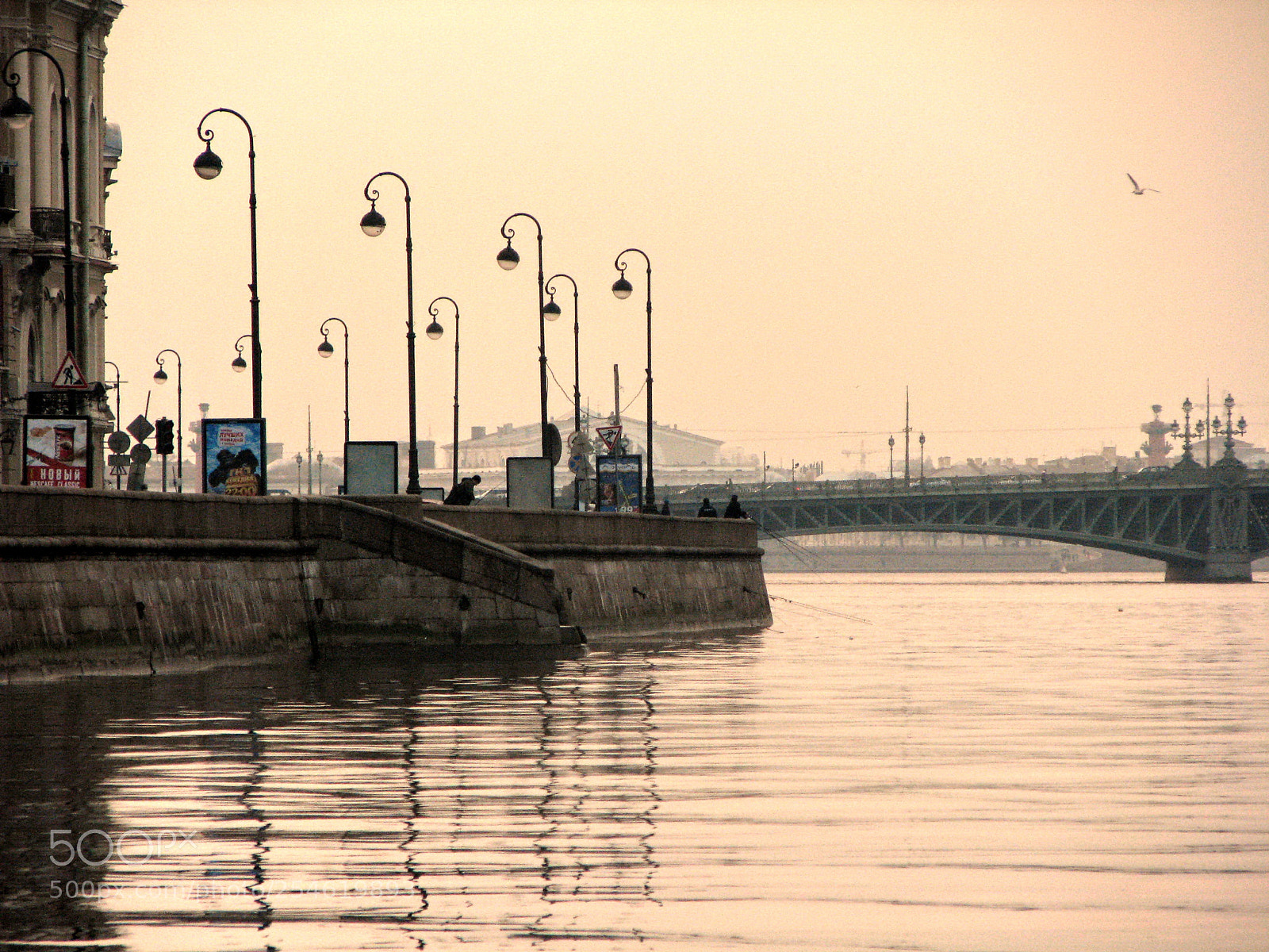 Canon POWERSHOT S5 IS sample photo. Img photography