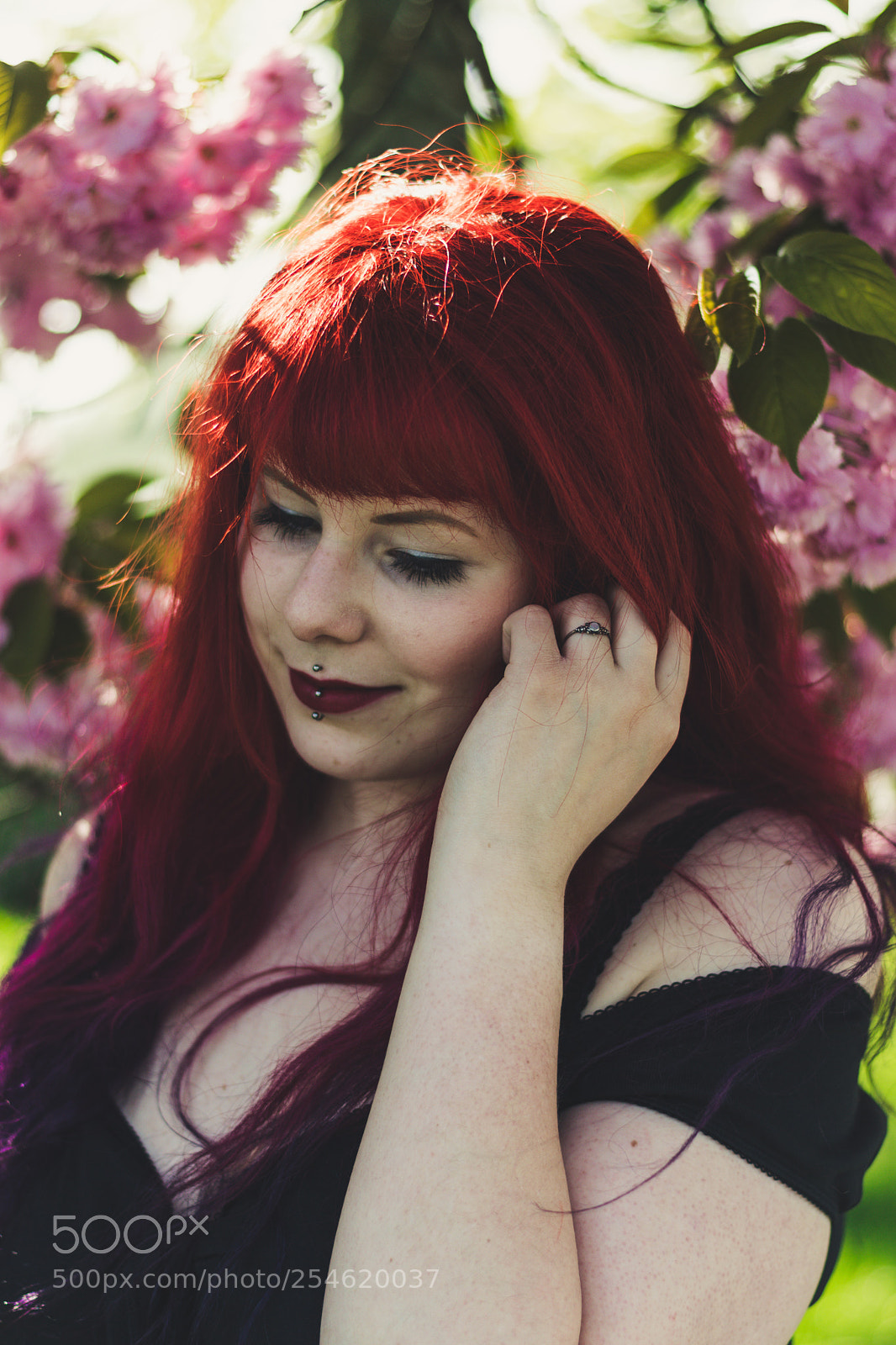 Nikon D3300 sample photo. Blush. photography