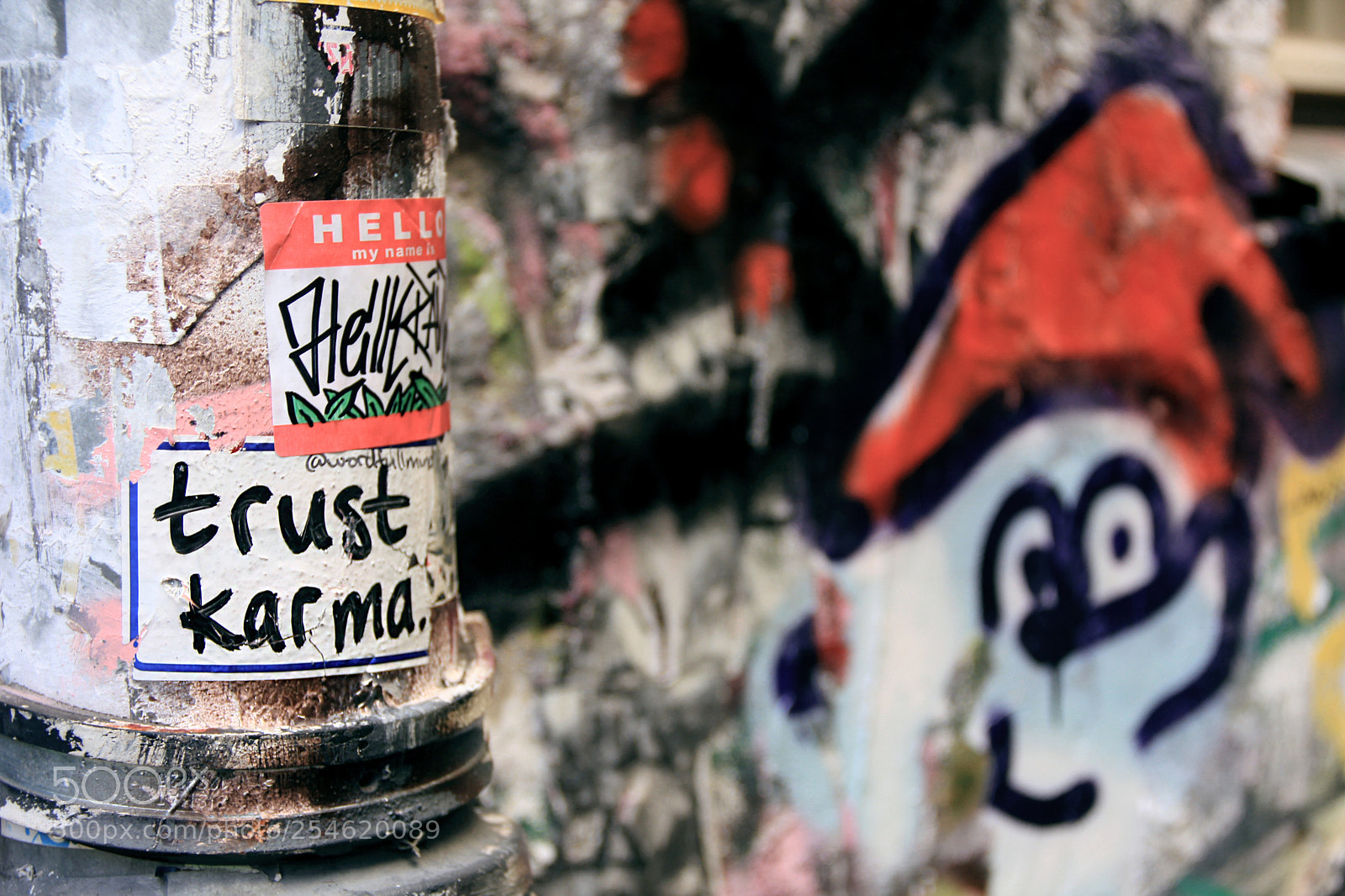 Canon EOS 550D (EOS Rebel T2i / EOS Kiss X4) sample photo. Trust karma photography