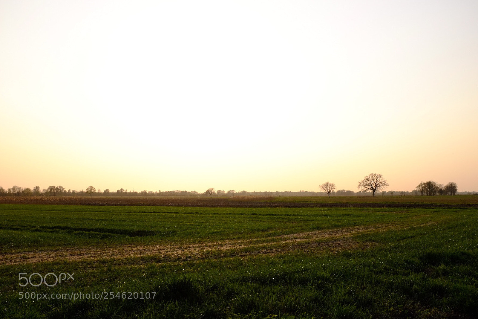 Fujifilm X100T sample photo. Abendstimmung photography
