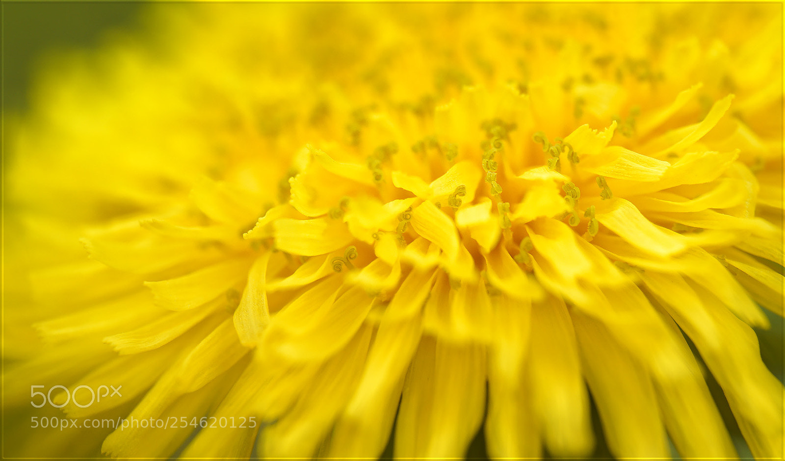 Sony a7R II sample photo. In gedanken fliegen im photography