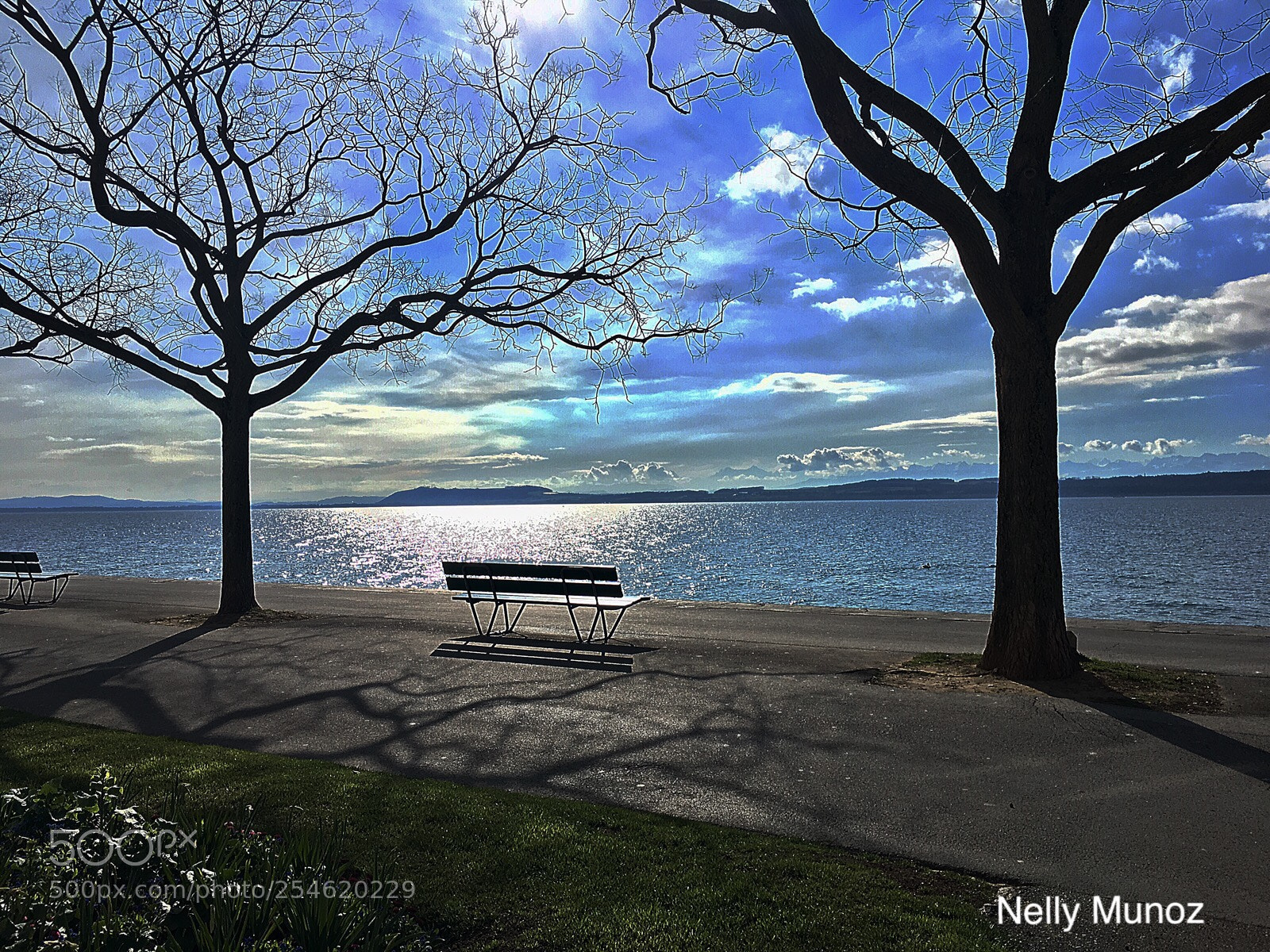 Apple iPhone 6s sample photo. Tranquilidad. tranquility photography
