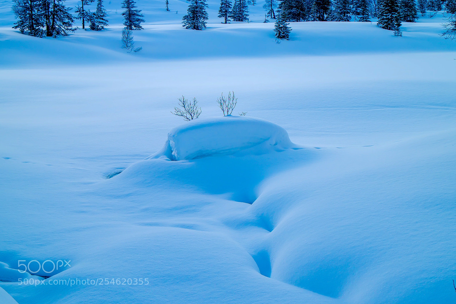 Canon EOS M3 sample photo. Snow study - final photography