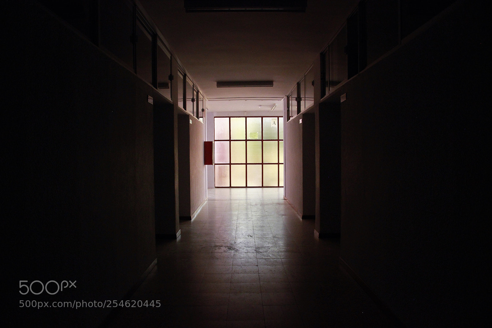 Canon EOS 600D (Rebel EOS T3i / EOS Kiss X5) sample photo. At the end photography