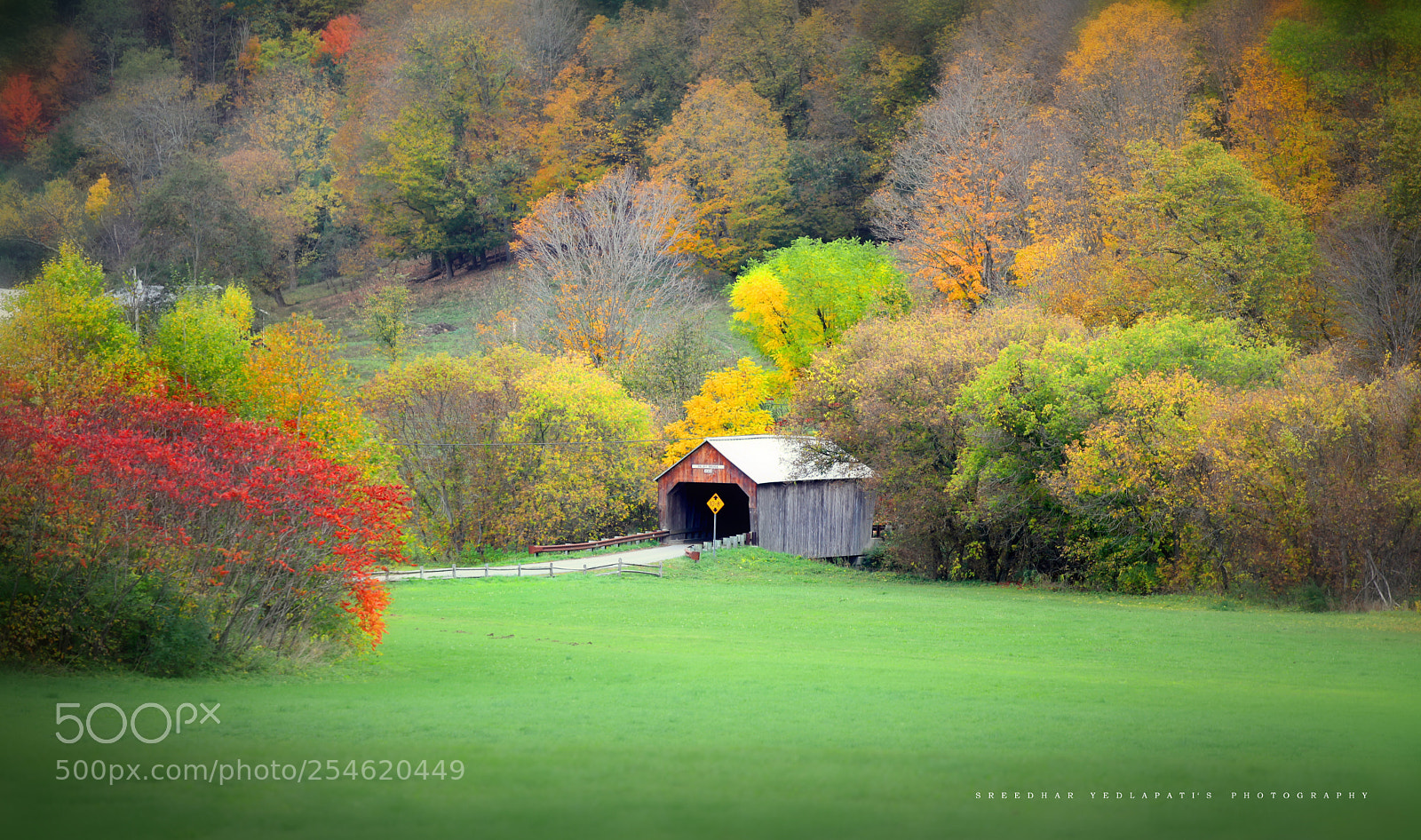 Canon EOS 5D Mark II sample photo. Covered bridge photography