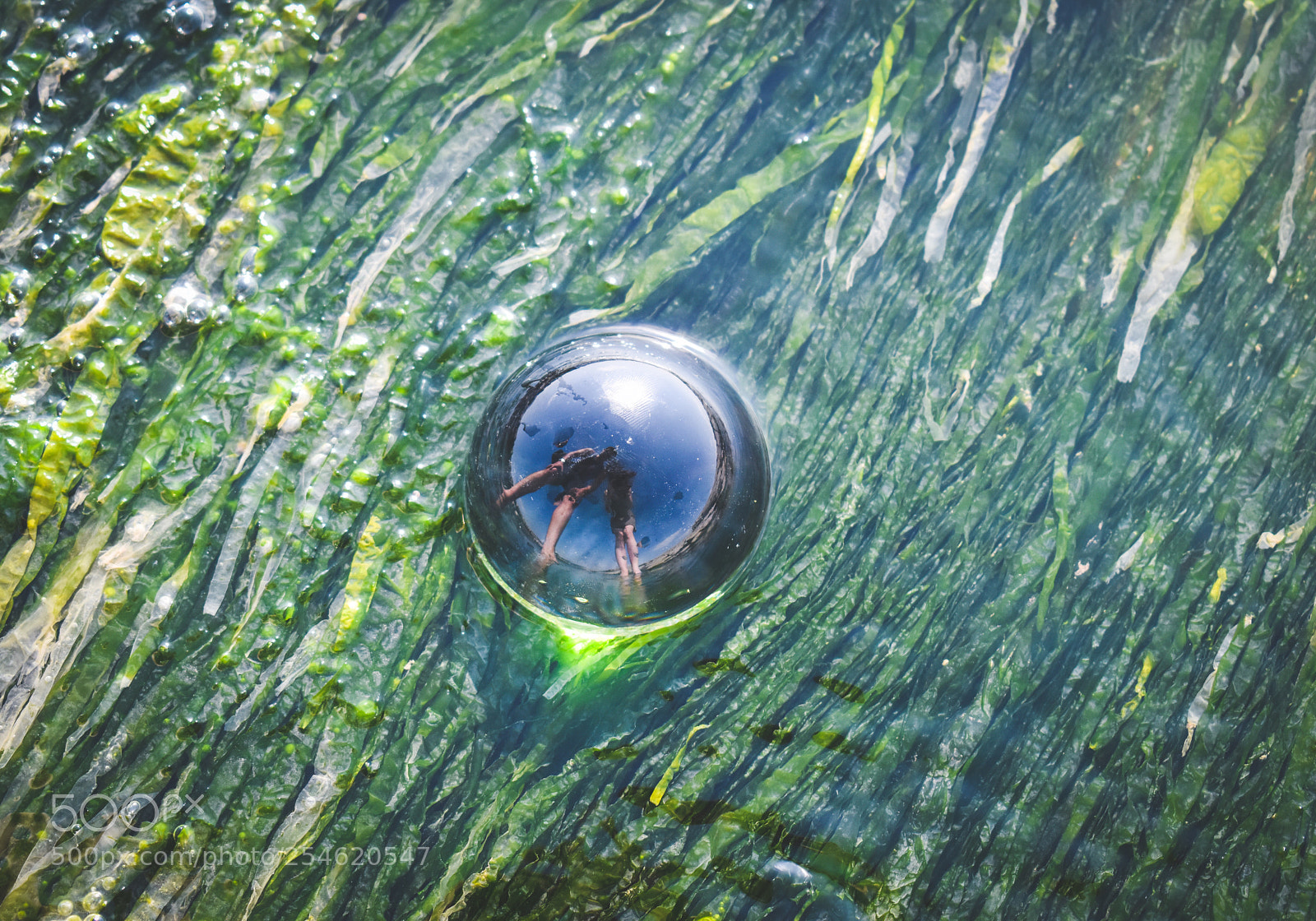 Nikon D5600 sample photo. Bubbles in the water  photography