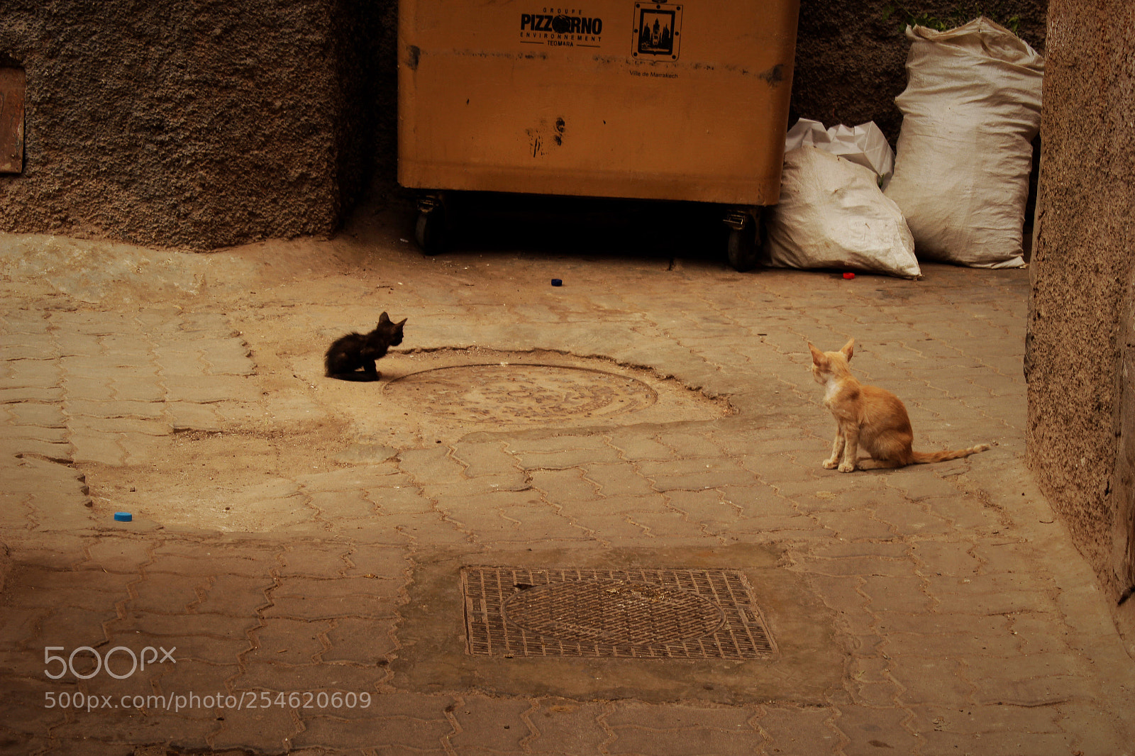 Canon EOS 600D (Rebel EOS T3i / EOS Kiss X5) sample photo. () photography