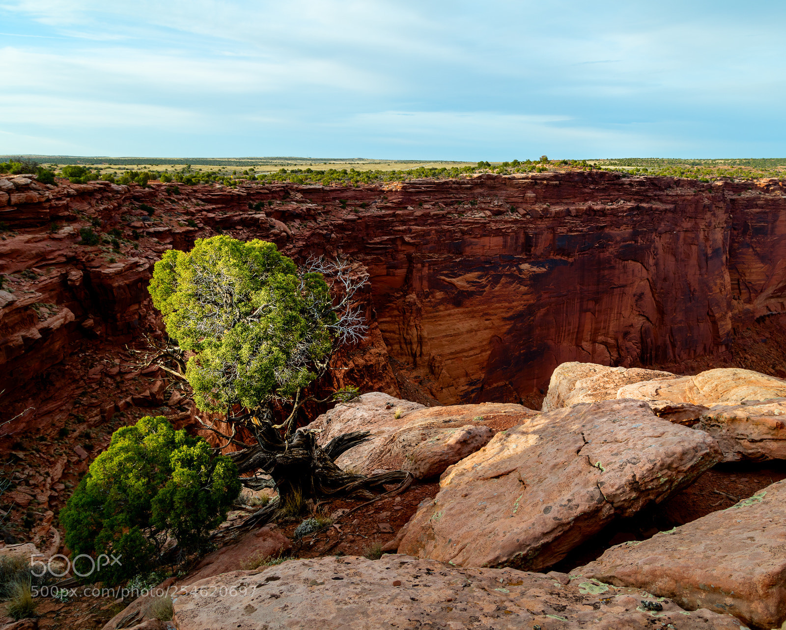 Canon EOS 5DS R sample photo. Dead horse point photography