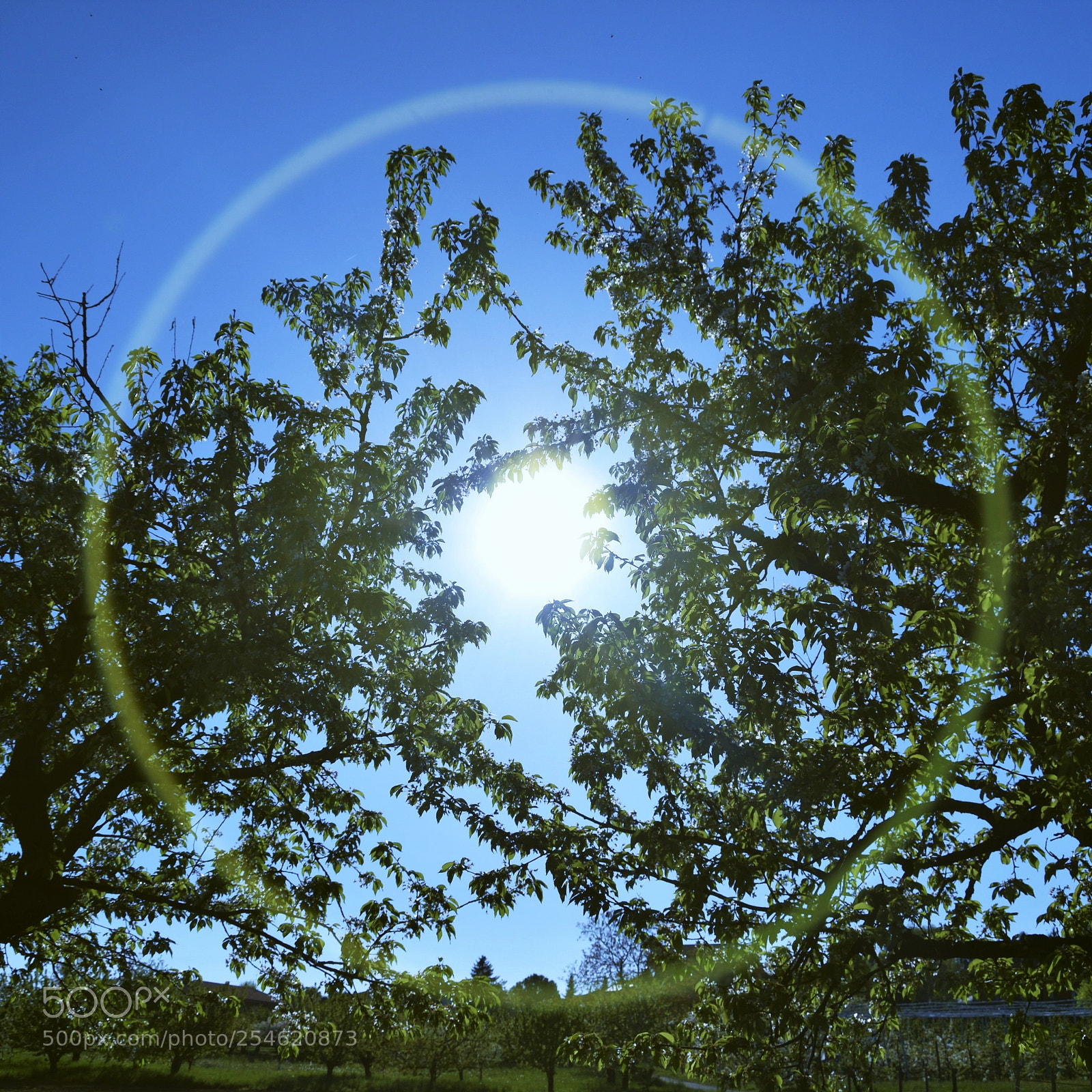 Nikon D3300 sample photo. Gifts of a day photography