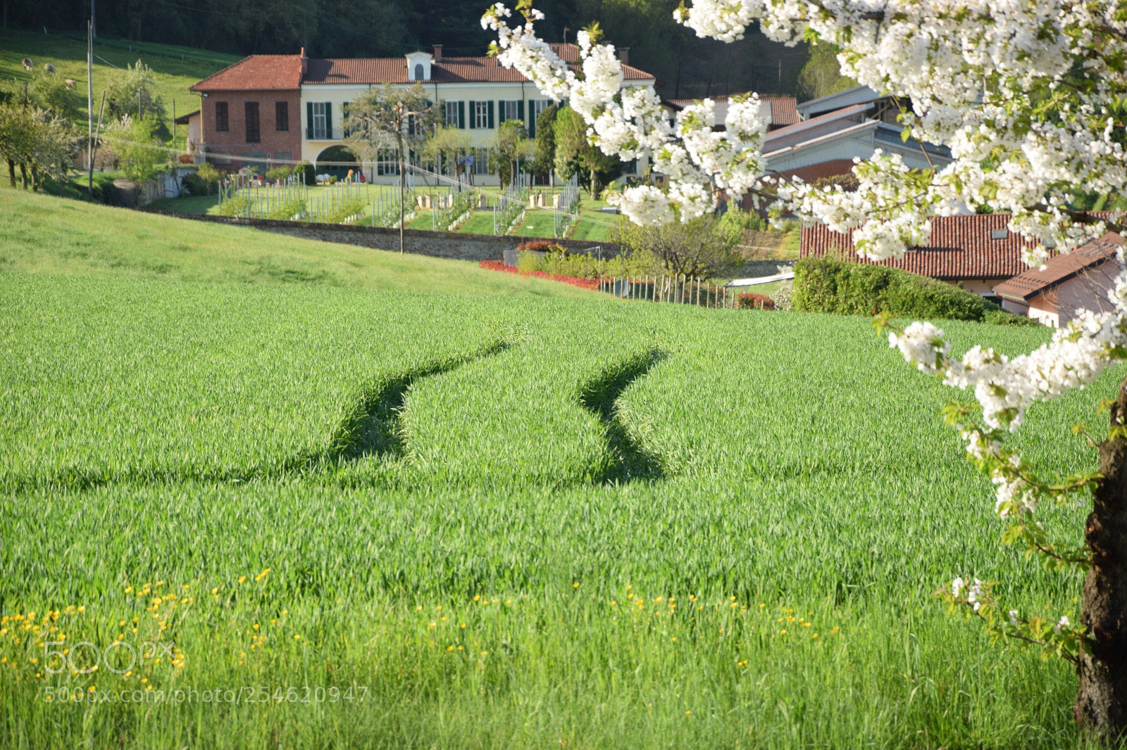 Nikon D3300 sample photo. Gifts of a day photography