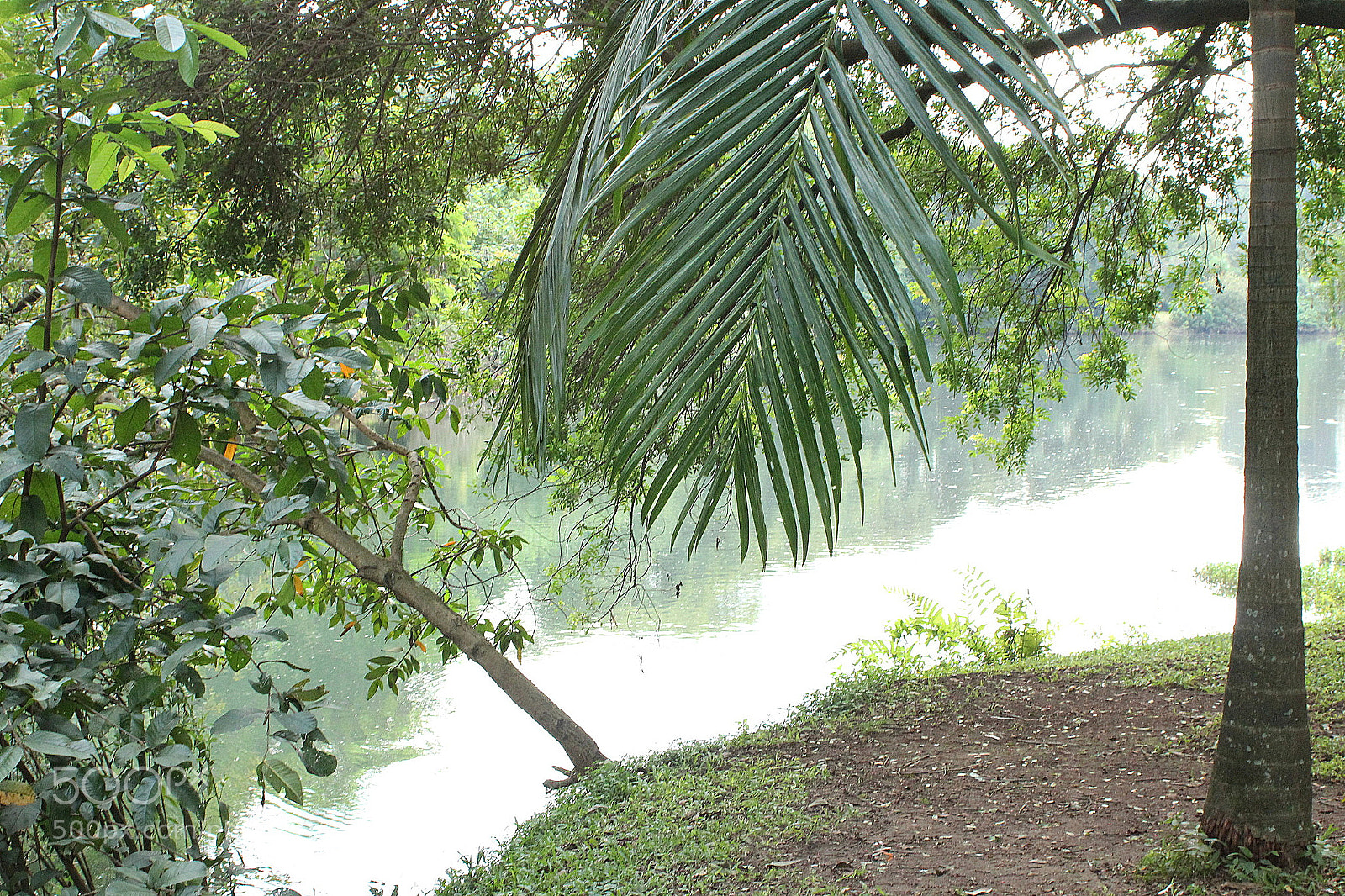 Canon EF 28-80mm f/3.5-5.6 sample photo. Ibirapuera park photography