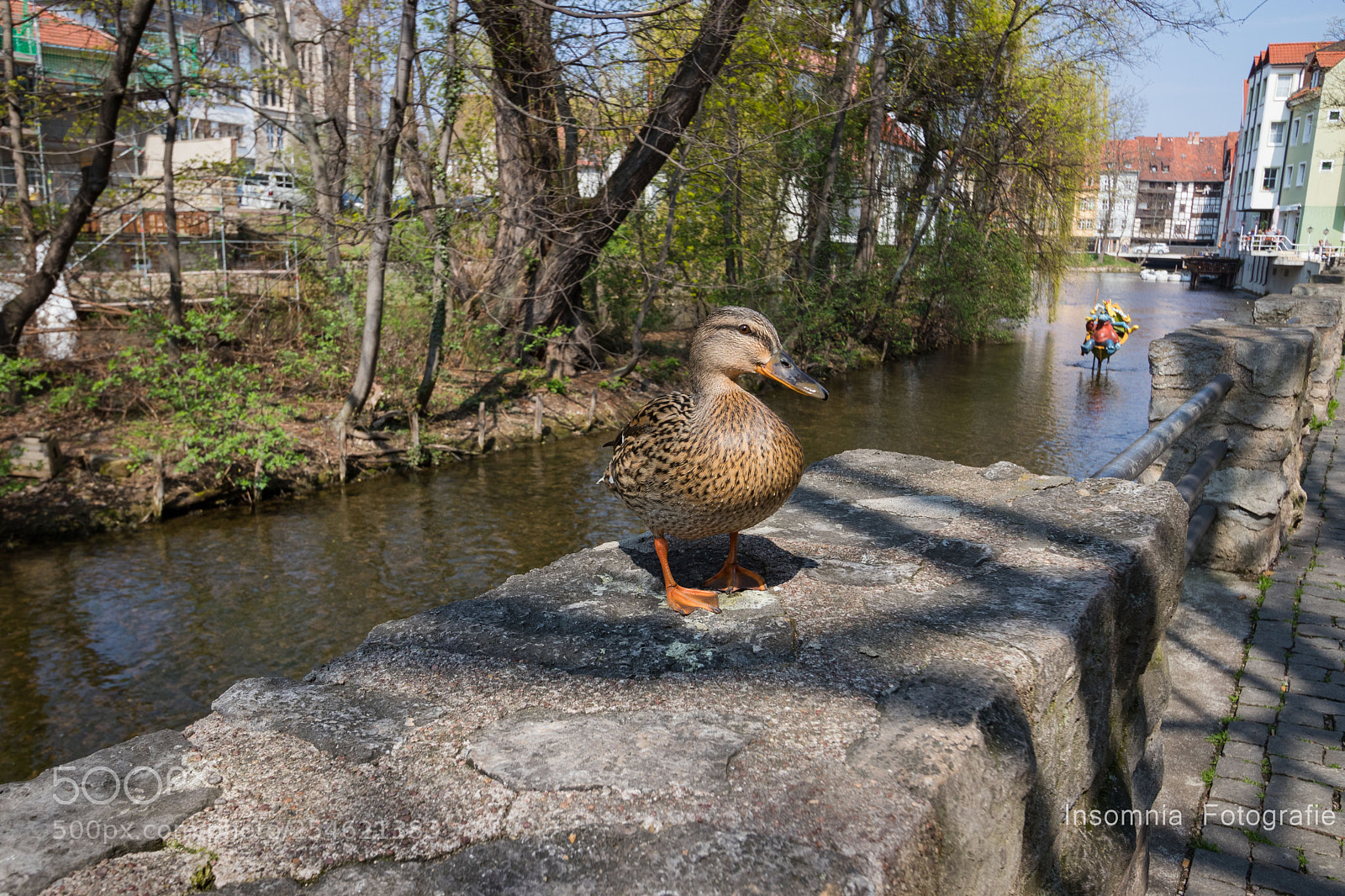 Canon EOS 80D sample photo. Ente in erfurt photography