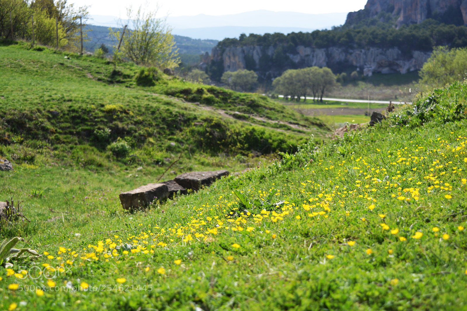 Nikon D5200 sample photo. Phrygia photography