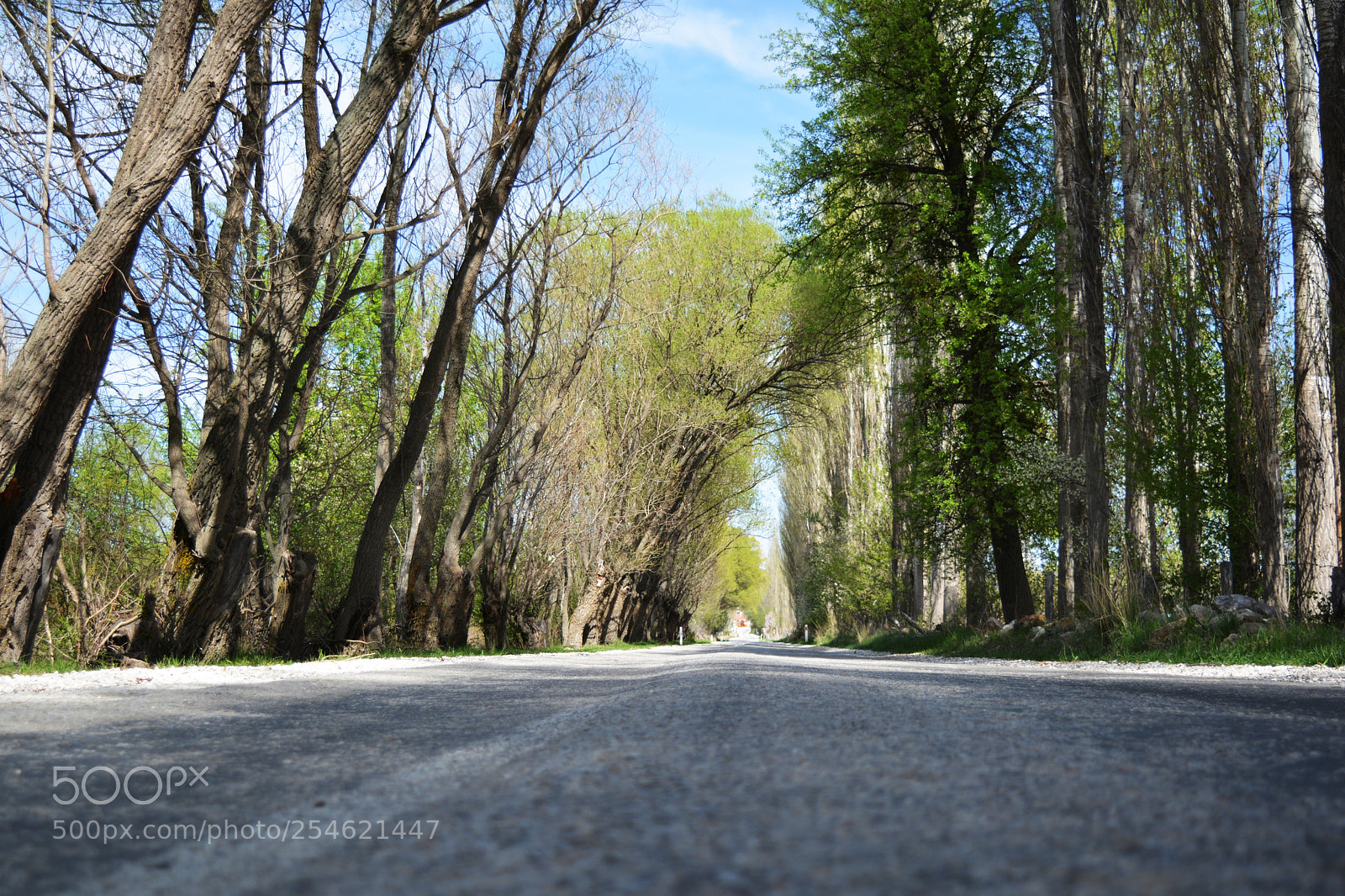 Nikon D5200 sample photo. Phrygia photography