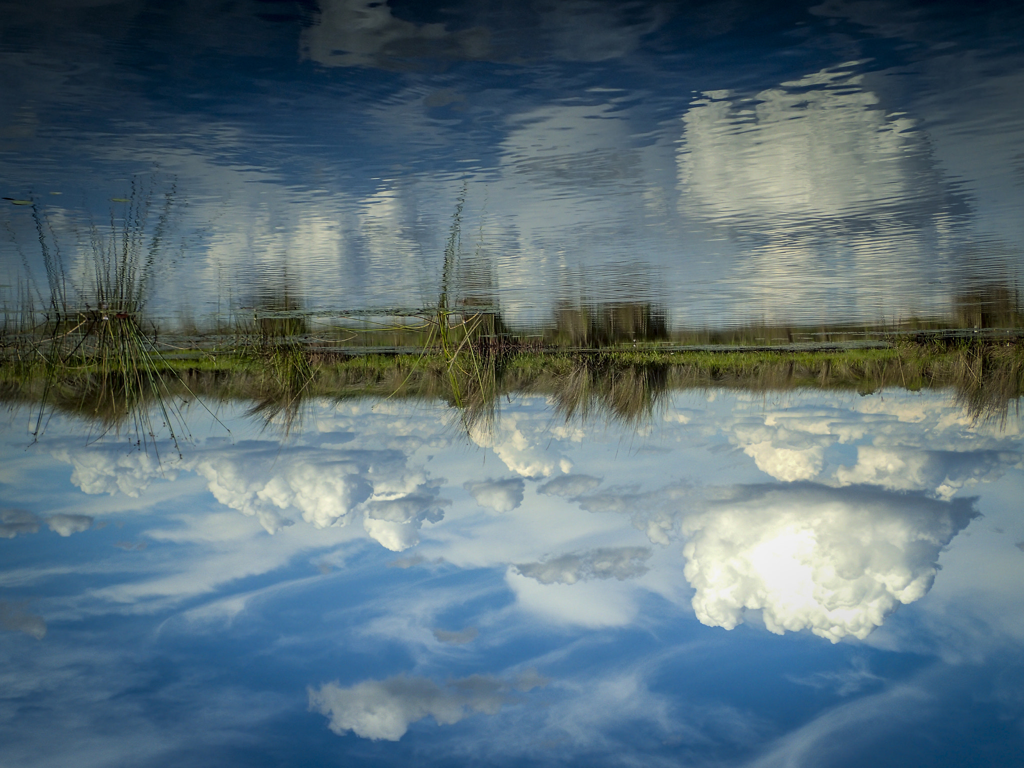 Olympus TG-3 sample photo. Reflection photography