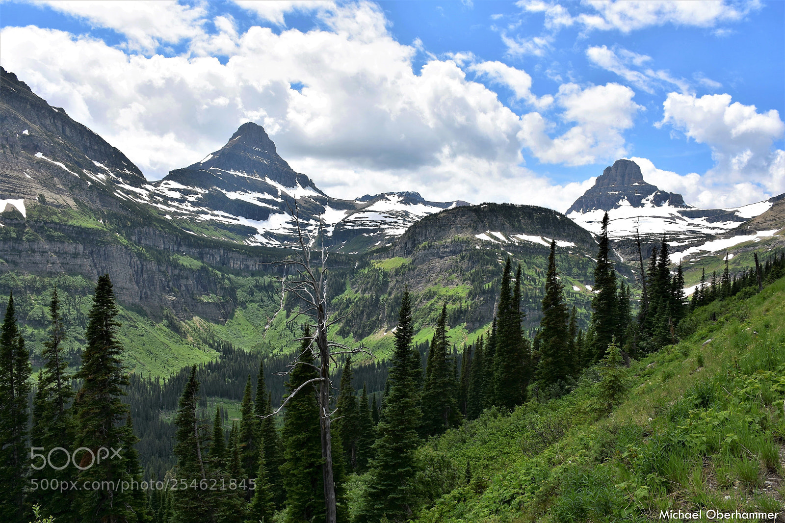 Nikon D7200 sample photo. Going-to-the-sun road photography