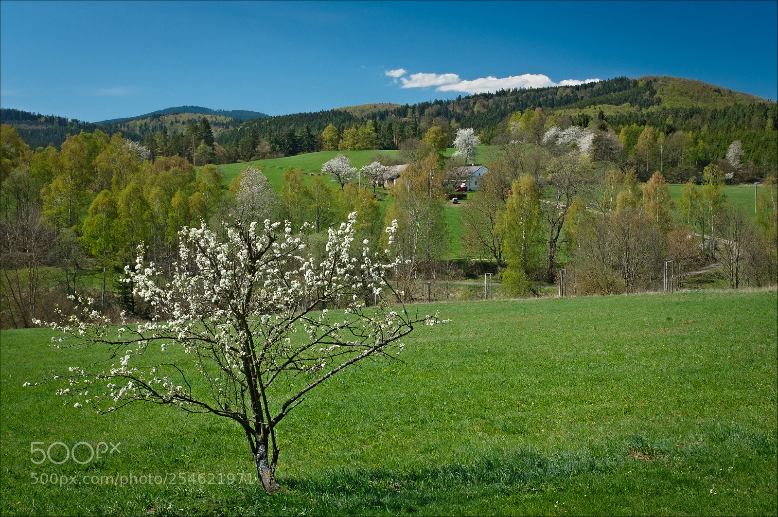 Fujifilm X100F sample photo. Spring in the bohemian photography