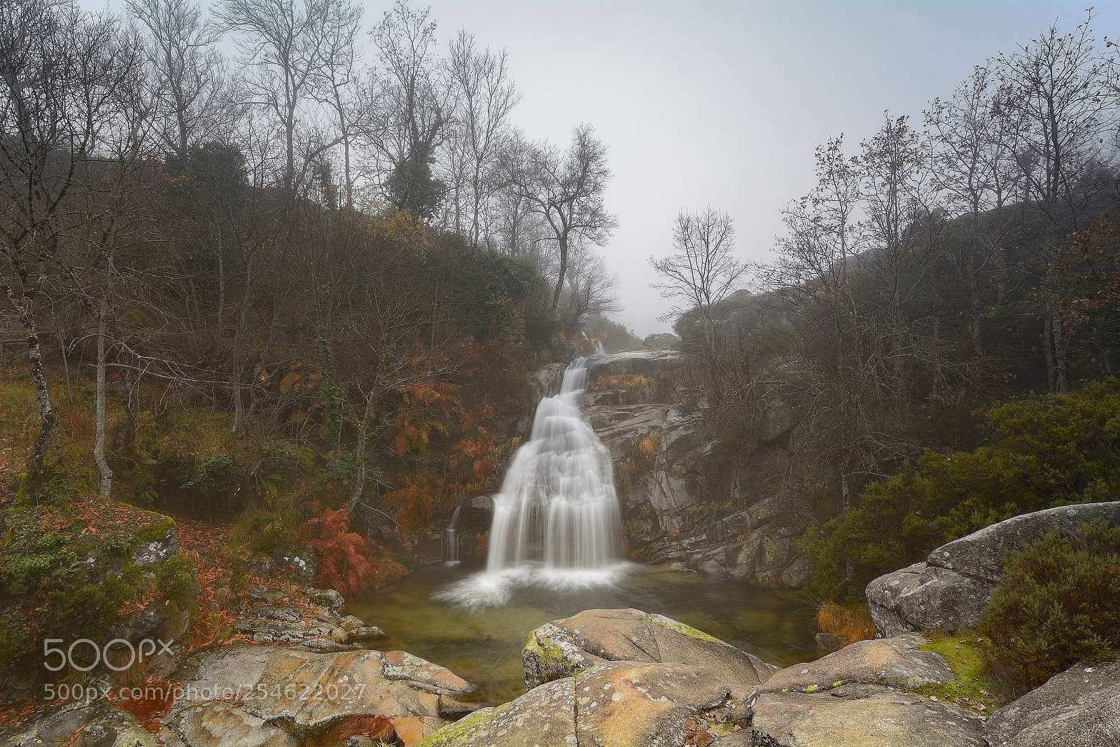 Nikon D7100 sample photo. Fresh water photography