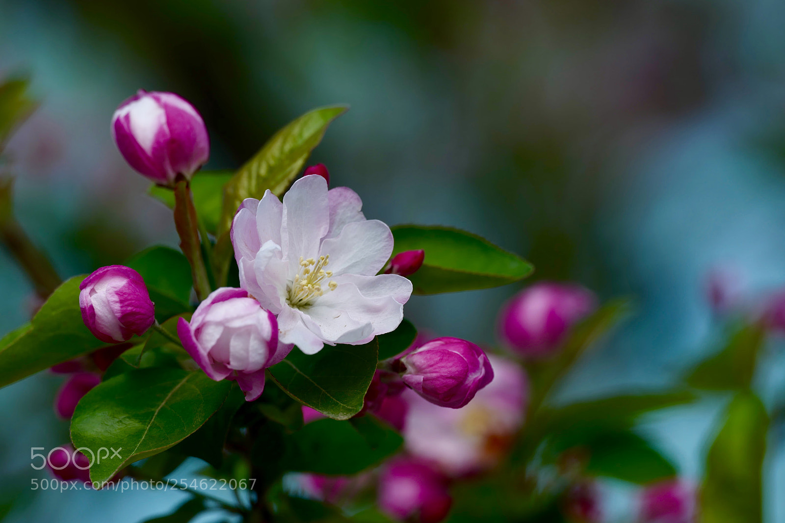 Leica SL (Typ 601) sample photo. Untitled photography