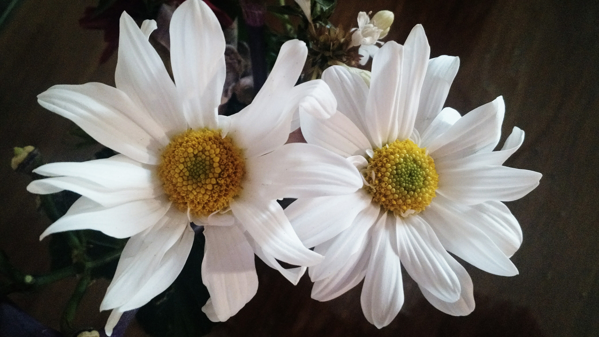 Motorola Moto X (2nd Gen) sample photo. You are everything i need photography