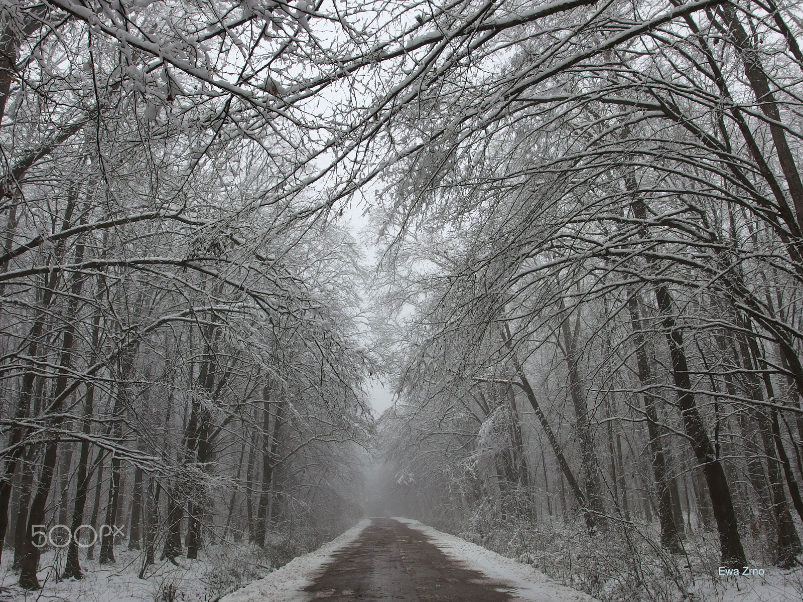 Olympus XZ-2 iHS sample photo. Road to the unknown. photography