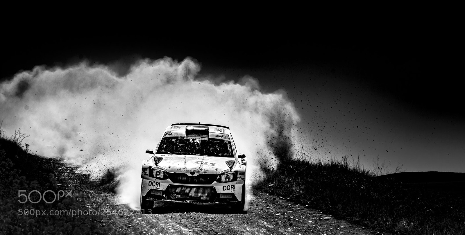 Nikon D5200 sample photo. Speed'n dust photography