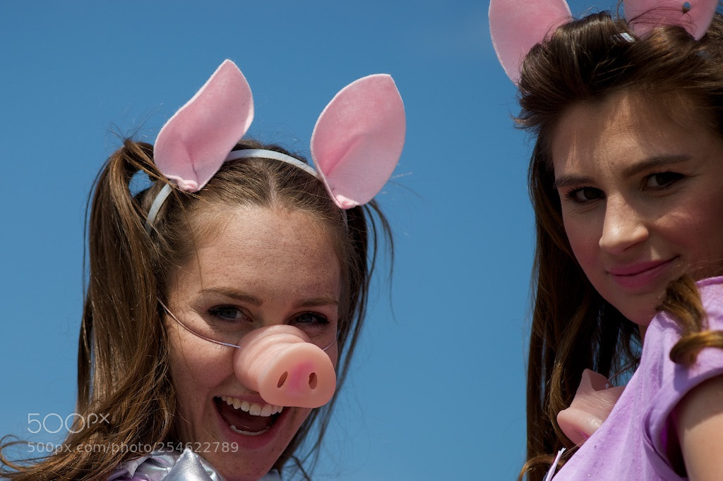 Nikon D600 sample photo. Cute pigs photography