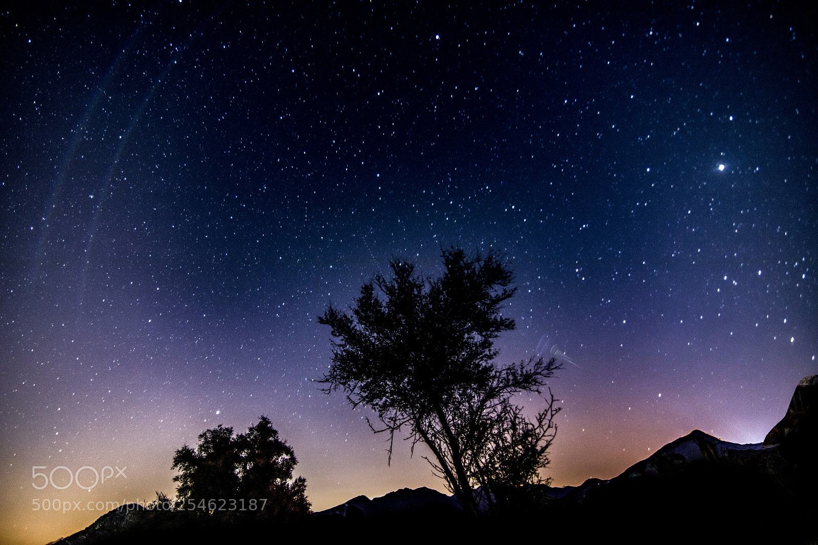 Canon EOS 5DS R sample photo. Star walk photography