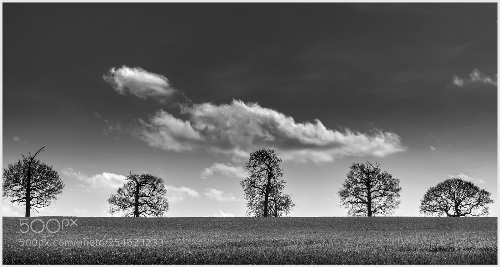 Sony a7 II sample photo. Black and white landscape photography