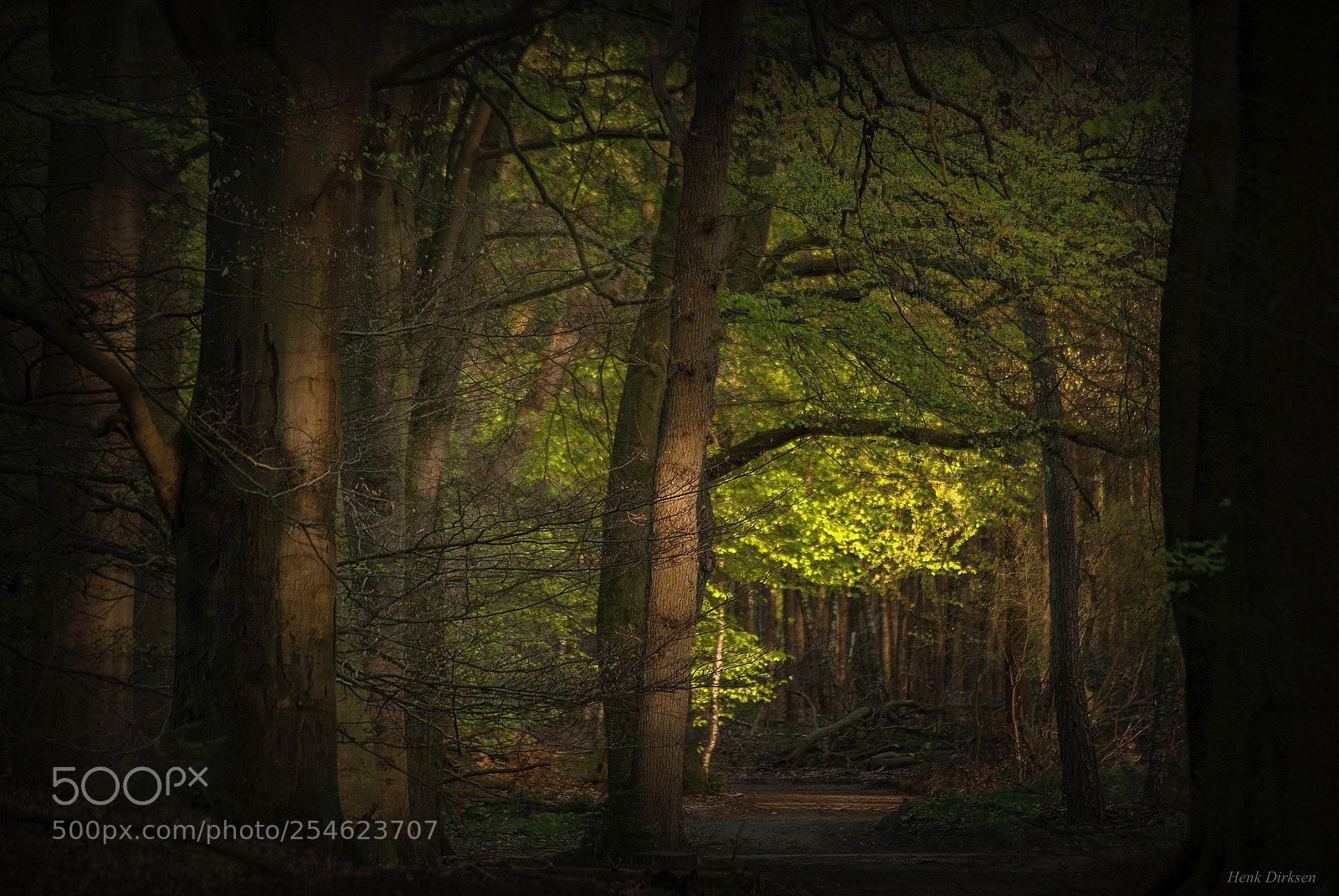 Nikon D200 sample photo. Evening light photography