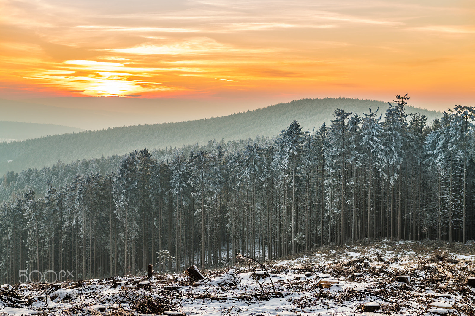 Nikon D850 sample photo. Javornik, bohemian forest photography