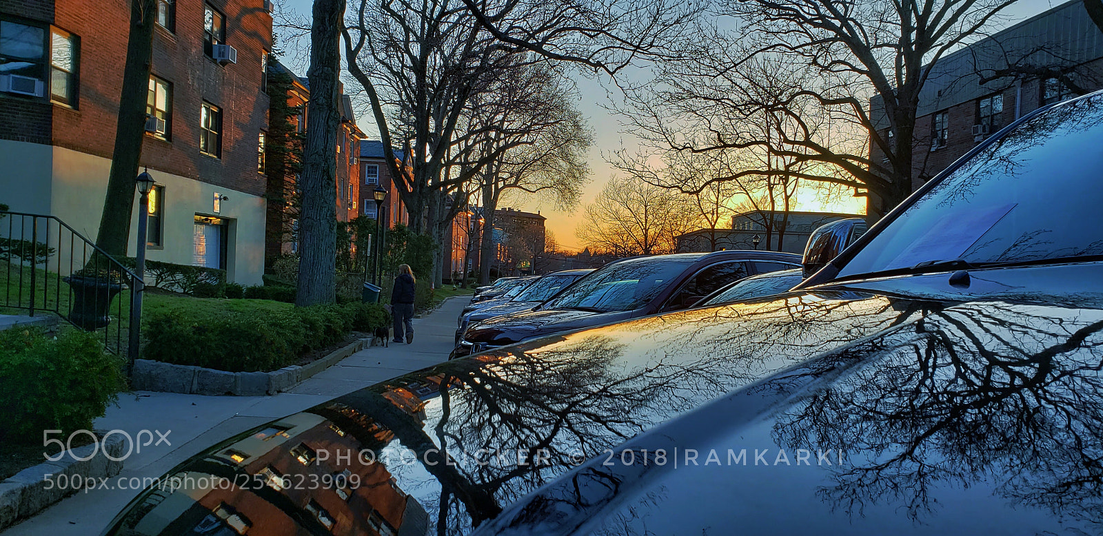 Samsung Galaxy S9+ sample photo. Reflection.... photography