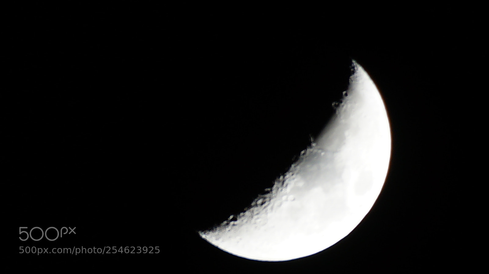 Sony SLT-A58 sample photo. Moon quite photography