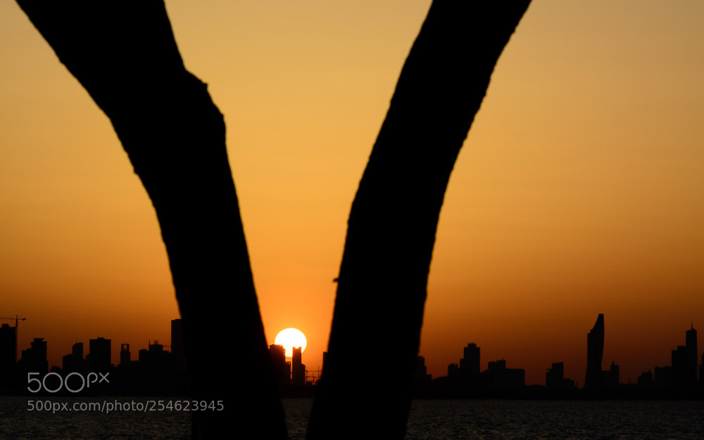 Nikon D5200 sample photo. Sin_set photography