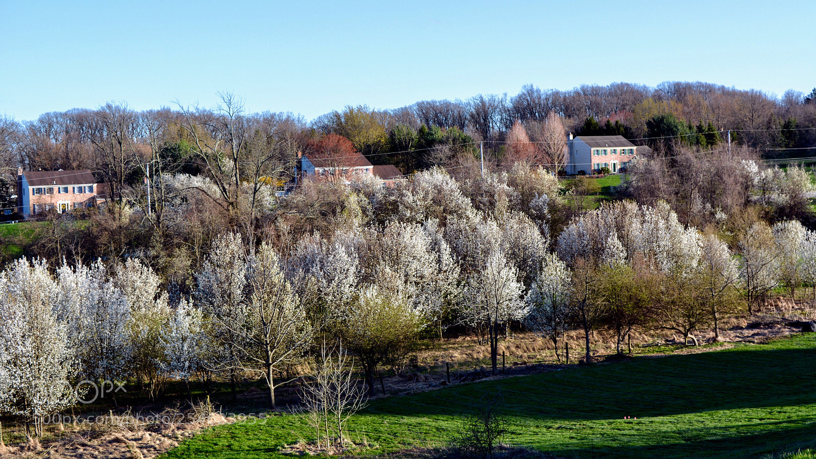 Nikon D7100 sample photo. Untitled photography