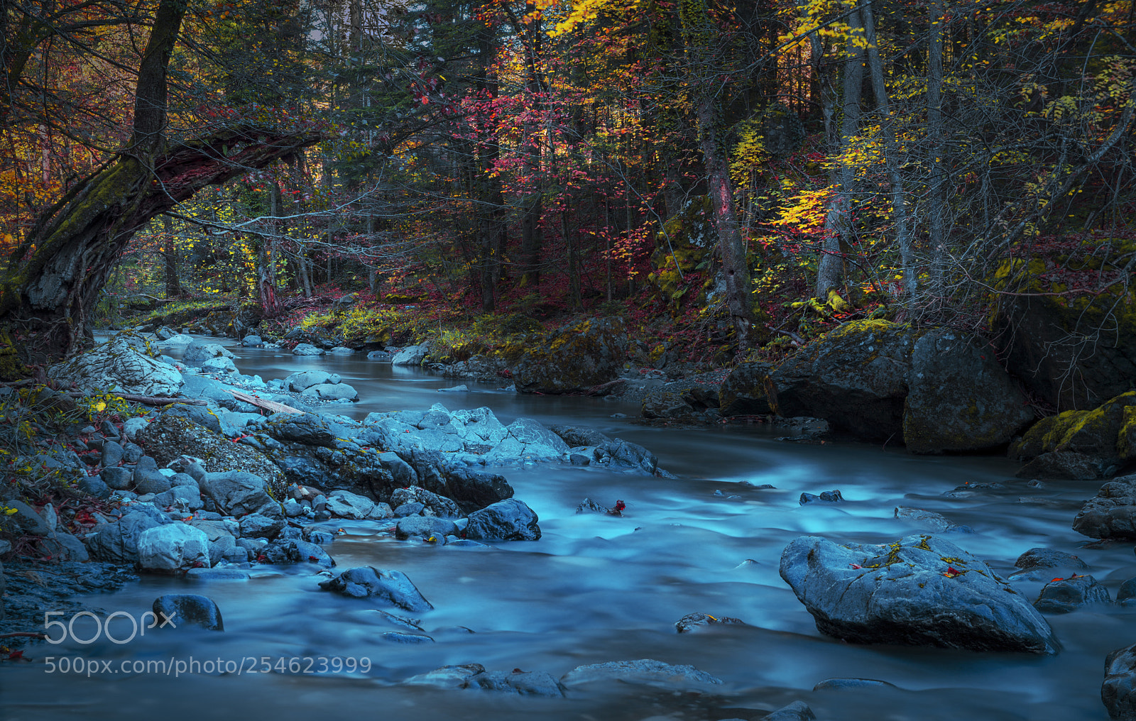 Nikon D610 sample photo. Mountain river photography