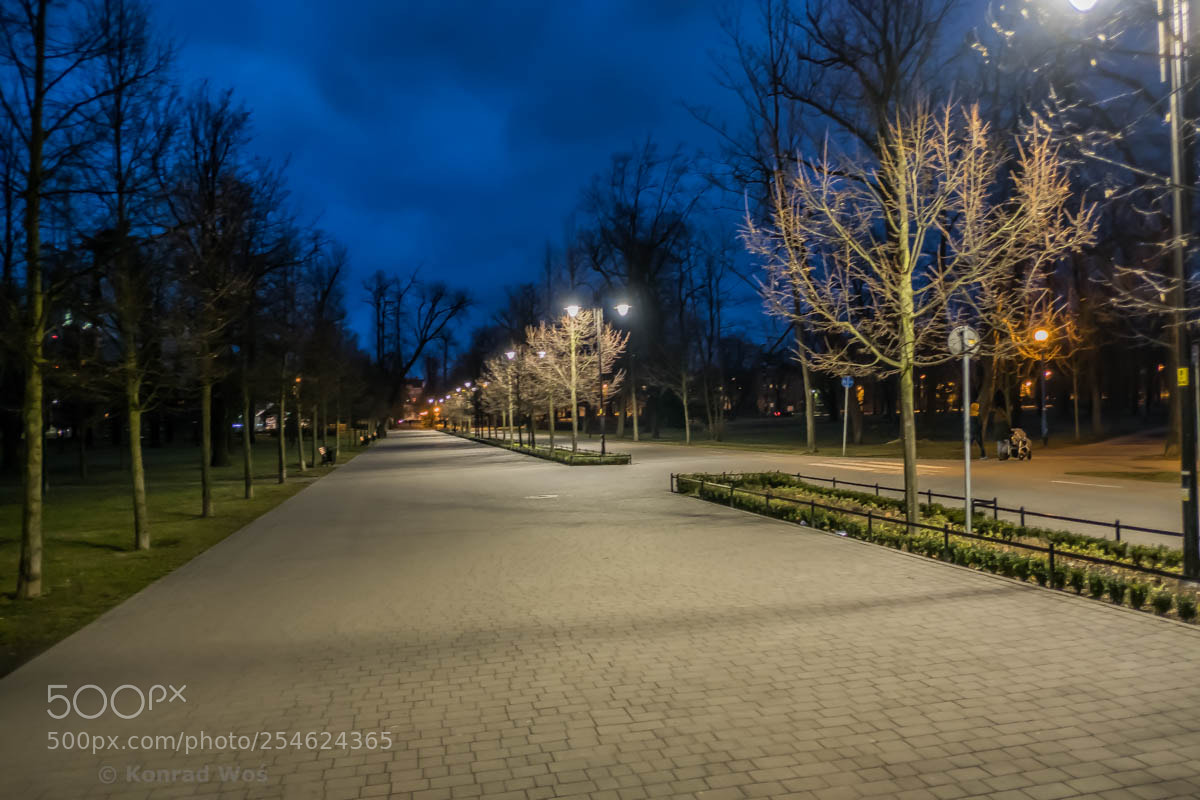 Fujifilm X-T20 sample photo. Legnica_44 photography
