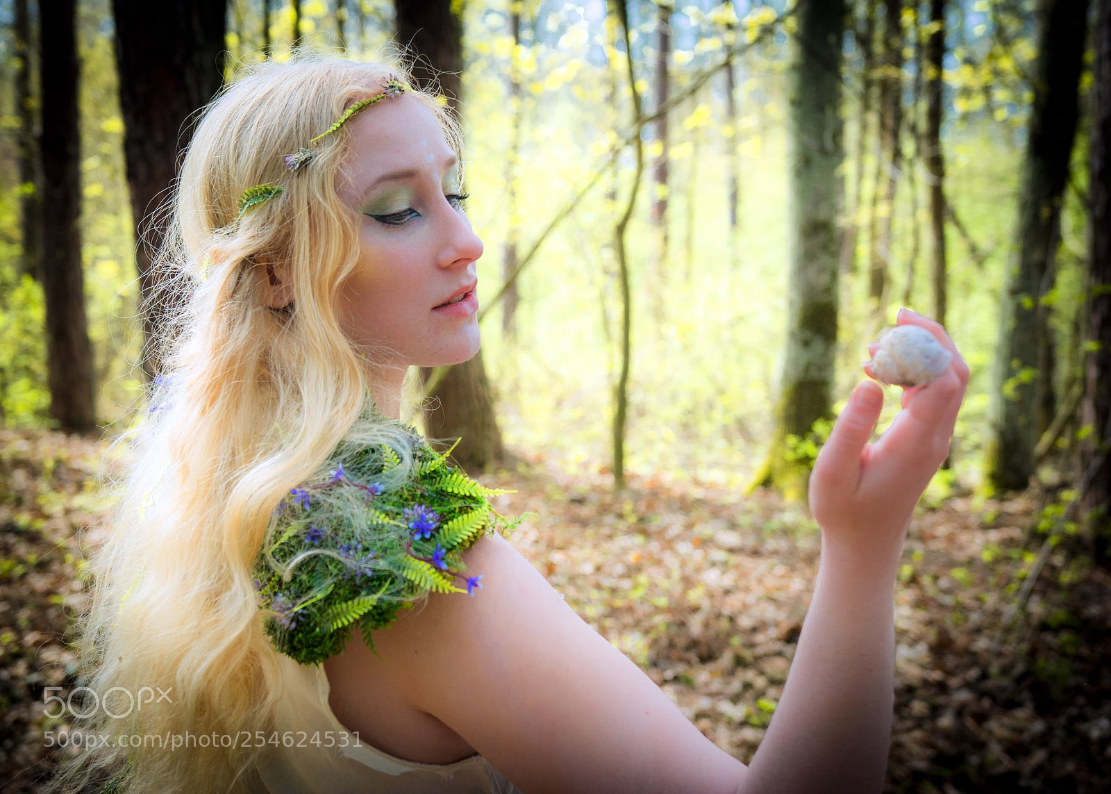 Nikon D7100 sample photo. Elf and shell photography